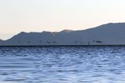 میزان آب دریاچه ارومیه، در مقایسه با 10 سال گذشته!