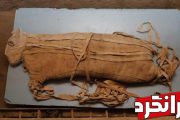 کشف یک مجسمه مومیایی‌ شده مصری