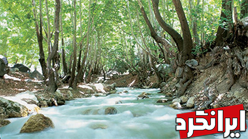 تنگه گنجه‌ای زیباترین‌ طبیعت کهیلویه و بویراحمد سیاحت در استان کهیلویه و بویراحمد منطقه سرسبز