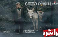 «سینما خر» شاهد احمدلو در جشنواره اسپانیا !