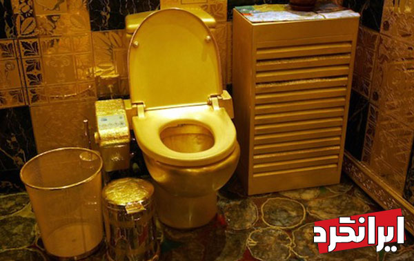 نظریه جدید در مورد گران قیمت ترین کاسه توالت جهان !