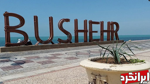 سایه عشق و احساس در ساحل صدفی بوشهر