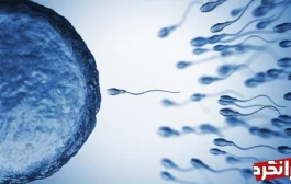 6 دلیل کاهش اسپرم مردان و خطر انقراض در سراسر جهان