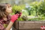 باغبانی ارگانیک: راهنمای عملی برای خانه و سبک زندگی سبزتر